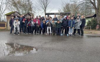 6. A, B v ZOO – Reptarium